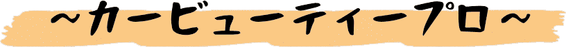 car-beauty-pro.png